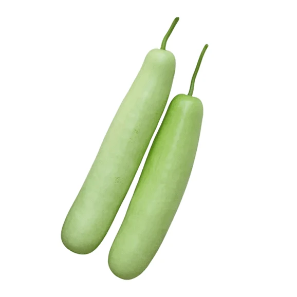 Fresh Squash (Lauki) 1Lb